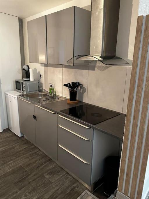 Le Cosy'Ppart - Easylife Lägenhet Bourgoin-Jallieu Exteriör bild